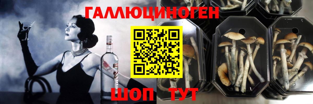 Советск  где купить наркоту  Галлюциногенные грибы Magic Shrooms  Вход с VPN  Галлюциногенные грибы Cubensis 