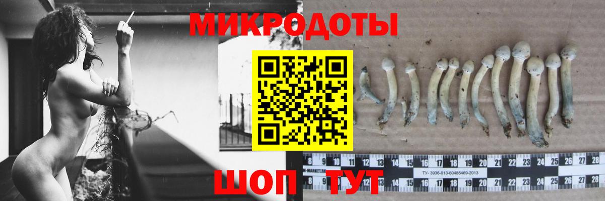 Галлюциногенные грибы Magic Shrooms Советск